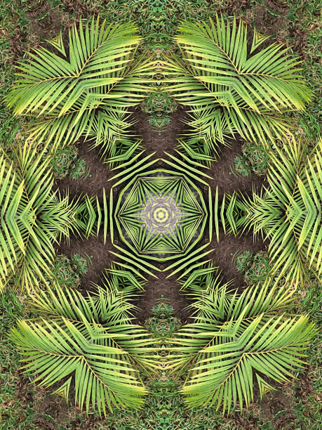 만화경 오일 페인트 별 모양의 식물 배경 - kaleidoscope abstract oil paint paint 뉴스 사진 이미지