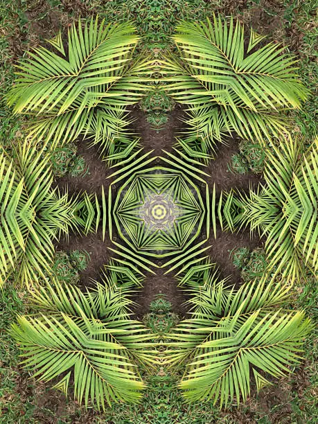 Kaleidoscopic oil paint star shaped plant background