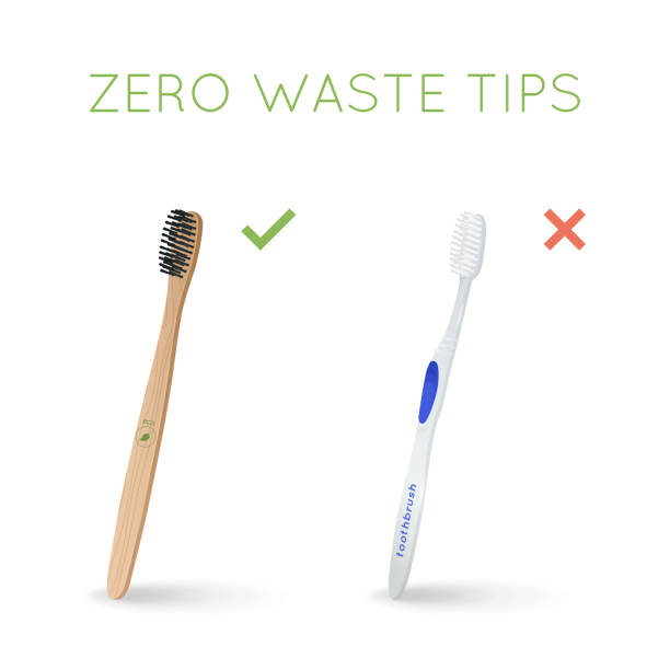 ilustrações de stock, clip art, desenhos animados e ícones de bamboo toothbrush instead of plastic toothbrush - toothbrush