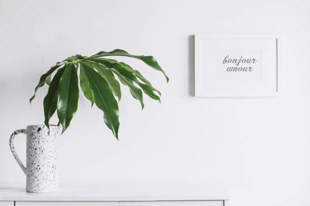 istock Minimalistic concept of white home interior whit copy space and tropical leaf. Scandinavian white cupboard concept. 1002339792