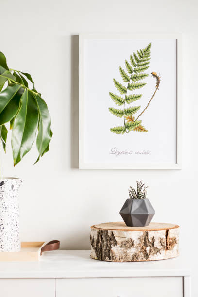 istock Modern composition of white cupboard whit tropical green leaf and cacti. Stylish compostion of mock up poster frame. 1002339866