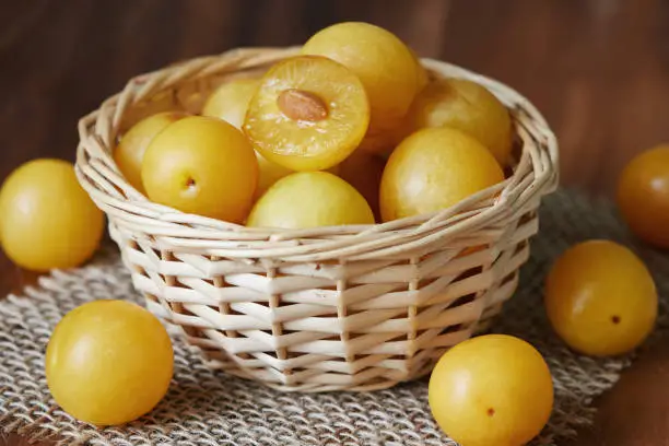Yellow cherry plums also known as mirabelle plums in woven basket