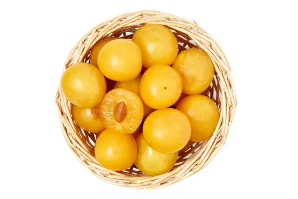 Yellow cherry plums also known as mirabelle plums in woven basket isolated on white background. Top view