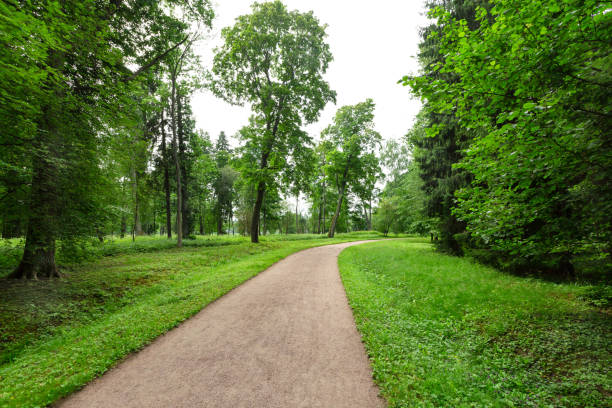 istock Winding Path through a tranquil verdant park with lawn and tall green trees in summer day for walking and relaxing and breathing clear air. 1002343976