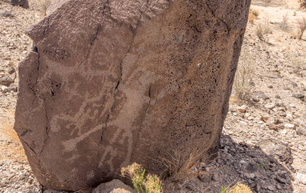Petroglyph depicting animals including a gecko, horse, and gila monster. Petroglyph depicting animals including a gecko, horse, and gila monster. Ancient Pueblo etching located at Petroglyph National Monument, Albuquerque, New Mexico, USA. albuquerque volcanoes stock pictures, royalty-free photos & images