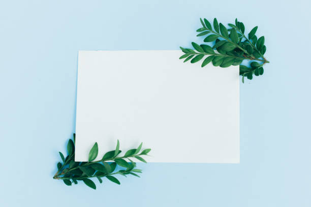 istock Desktop mock-up with blank paper card, branch on white shabby table background. Empty space. Styled stock photo, web banner. Flat lay 1002357790