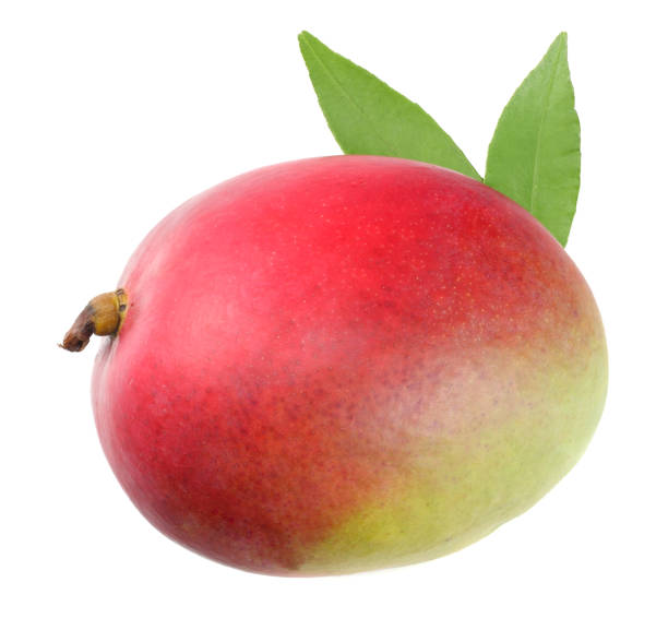 istock mango with green leaves isolated on white background. healthy food. 1002358740