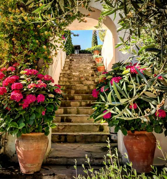 istock Mediterranean garden staircase Spain 1002358968