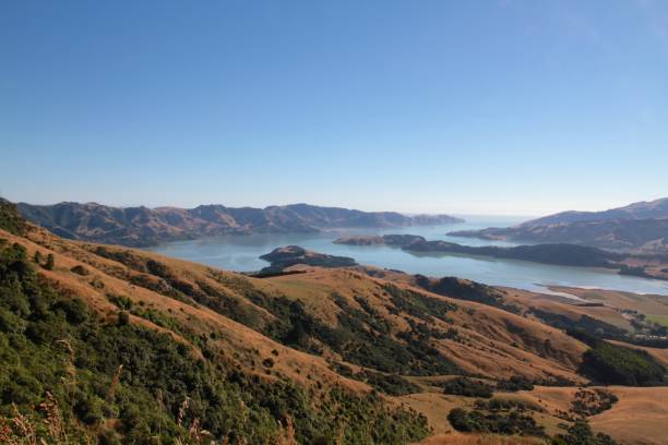 아카로 아-뱅크스 반도, 뉴질랜드 - akaroa banks peninsula bay sea 뉴스 사진 이미지