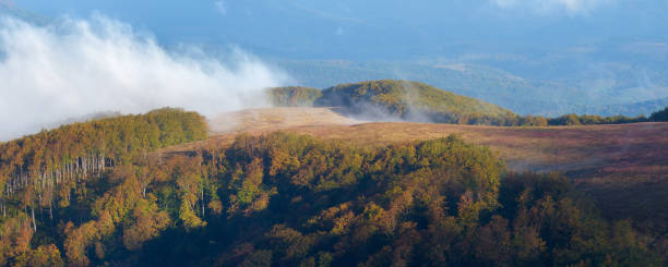 istock Autumn landscape with fog 1002376596