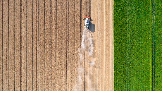 Harvesting a wheat field, dust clouds - aerial view