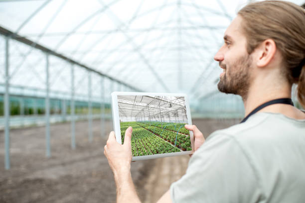 istock Farmer with tablet in the glasshouse 1002405680