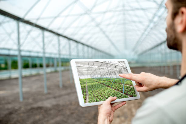 Farmer with tablet in the glasshouse