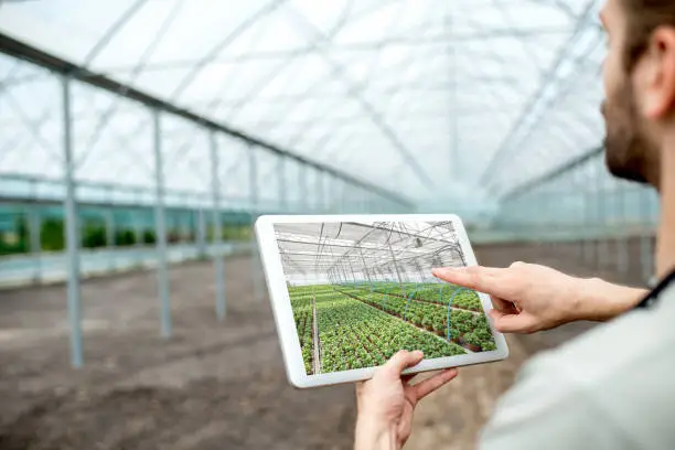 Farmer holding digital tablet with project of the future plantation in the glasshouse