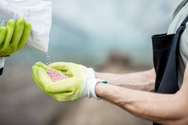 istock Farmer holding mineral fertilizers 1002406724