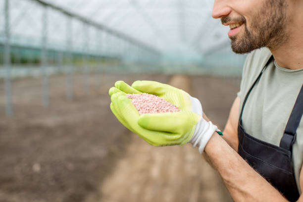 istock Farmer holding mineral fertilizers 1002406780