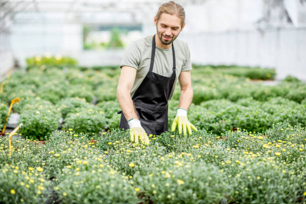 istock Worker with flowers in the greenhouse 1002417986