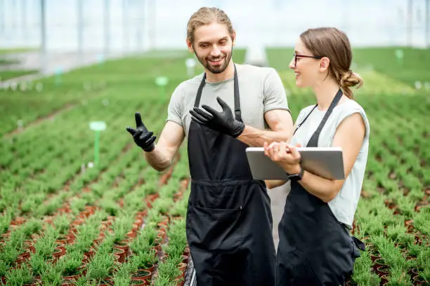 Photo of Workkers with digital tablet in the greenhouse