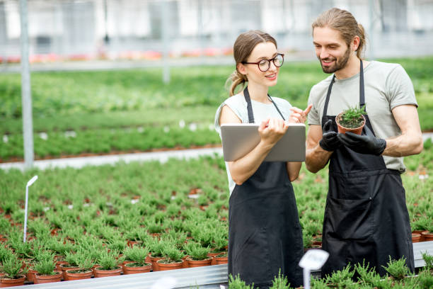 istock Workkers with digital tablet in the greenhouse 1002423576