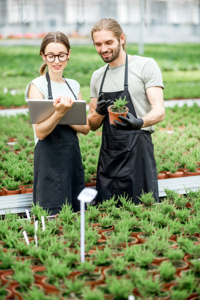 istock Workkers with digital tablet in the greenhouse 1002423622