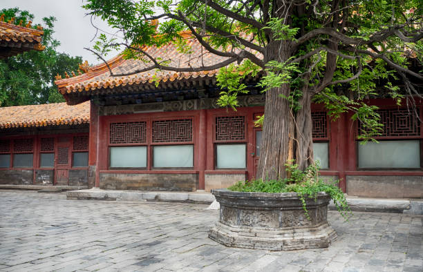 istock Forbidden city inside gate, Beijing, China 1002439130