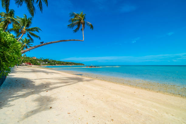 istock Scenic View Of Beach Against Blue Sky 1002439538