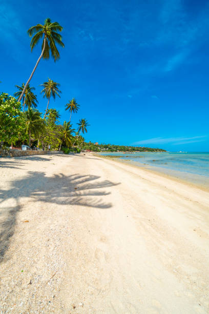 istock Scenic View Of Beach Against Blue Sky 1002439546