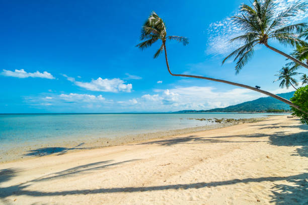 istock Scenic View Of Sea Against Sky 1002439578