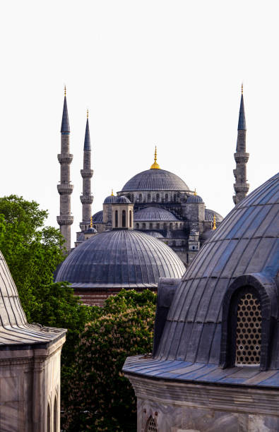 istock sultan ahmet mosque and minarets with dome 1002446680