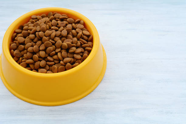 istock Yellow plastic bowl full with dog food 1002456218