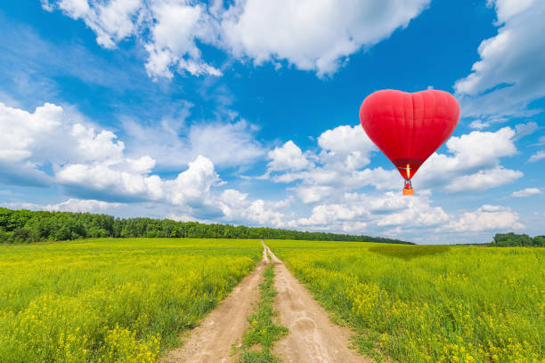 istock Dirty road on the field with flowers. 1002482074
