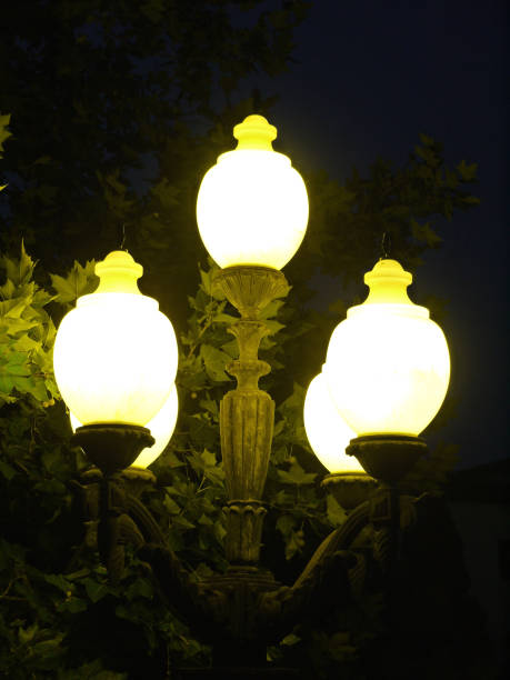 istock Glowing bright night lamp on a background of green trees 1002488486