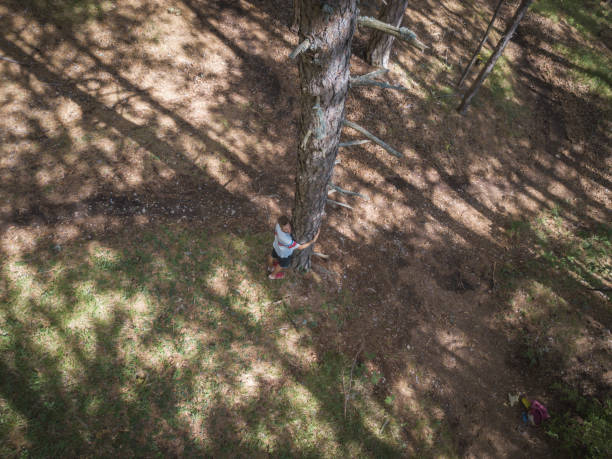 istock high top view of young man hugging and loving pine tree in the forest 1002496606
