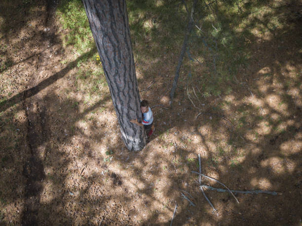 istock high top view of young man hugging and loving pine tree in the forest 1002496608