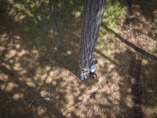 istock high top view of young man hugging and loving pine tree in the forest 1002496610