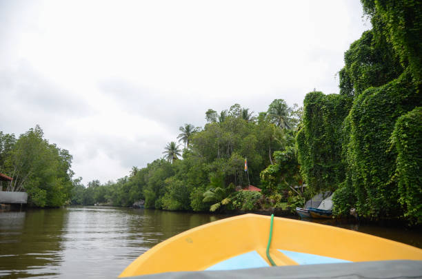 istock View from a boat on a river with a green tropical forest 1002498204