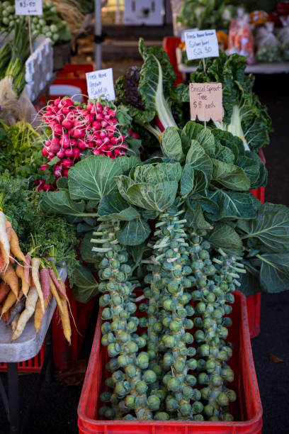 fresh produce market
