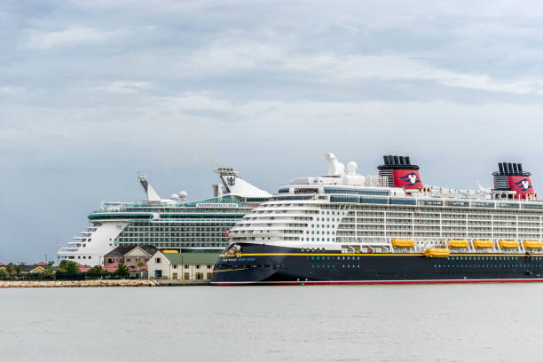 disney fantasy i royal caribbean niezależność mórz na jamajce - royal caribbean cruise lines zdjęcia i obrazy z banku zdjęć