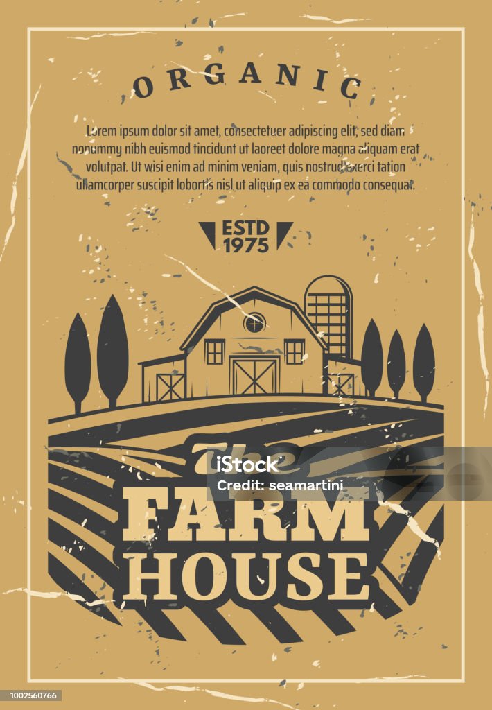 Farm house with field old retro vector poster Farm house for organic products retro poster. Agriculture card with fields and rows of vegetables and wheat, barn among trees, orchard garden vector. Rural landscape with building for harvest storage Farm stock vector