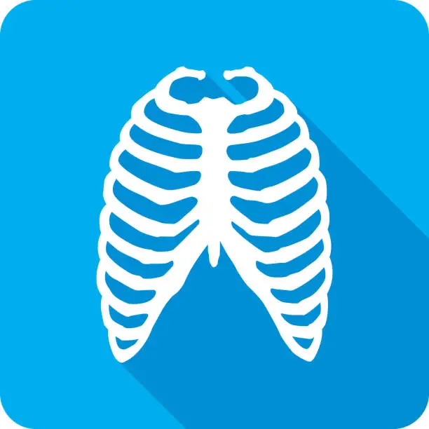 Vector illustration of Rib Cage Icon Silhouette 1