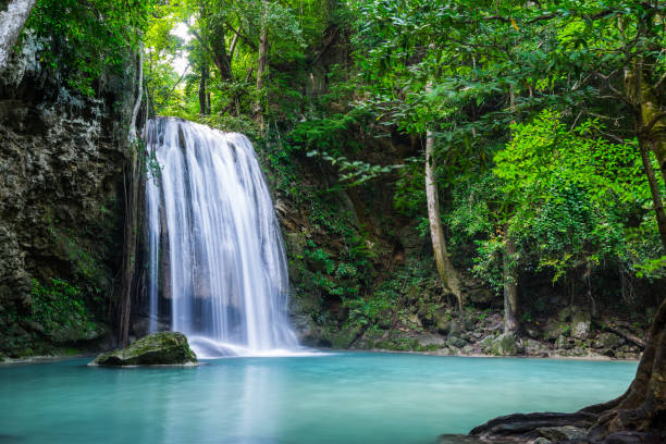 piękny wodospad w parku narodowym tajlandii - beauty in nature clean cool stream zdjęcia i obrazy z banku zdjęć