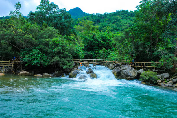 nuoc mooc primavera - mooc corriente phong nha ke bang national park - nuoc fotografías e imágenes de stock