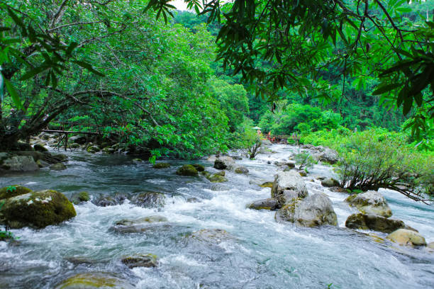 istock Nuoc Mooc spring - Mooc stream Phong Nha Ke Bang national park 1002592588