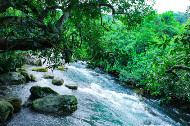 istock Nuoc Mooc spring - Mooc stream Phong Nha Ke Bang national park 1002592670