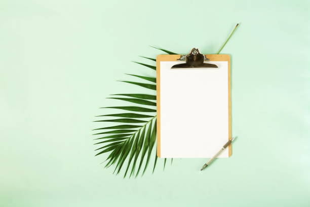 istock Mock up with clipboard, palm leaf and a pen on pale mint green background. Flat lay, top view.Copy space 1002615882