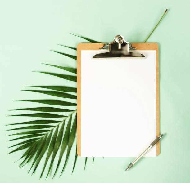 istock Mock up with clipboard, palm leaf and a pen on pale mint green background. Flat lay, top view.Copy space 1002617916