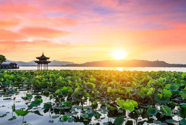 istock Hangzhou West Lake natural scenery at sunset 1002624854