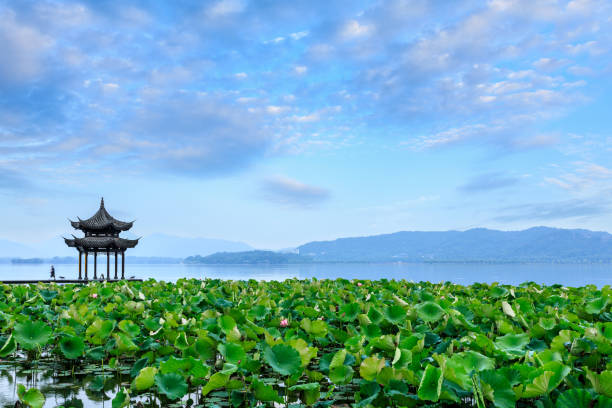 istock Hangzhou West Lake scenery 1002628180