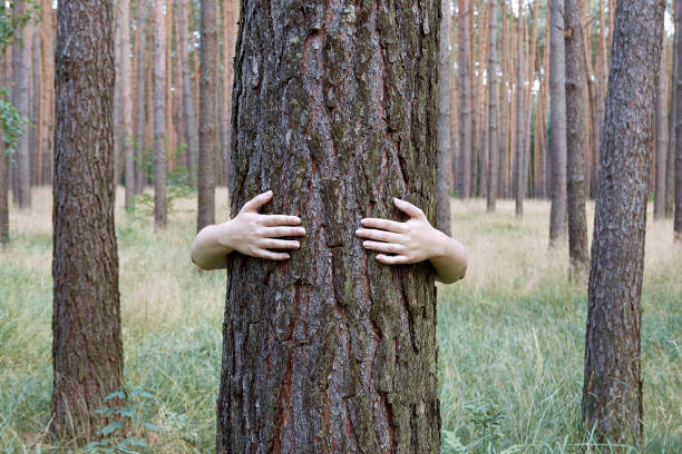 istock A young woman hugging a tree trunk in a forest 1002634562