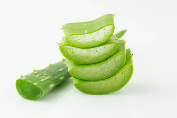 istock Aloe Vera isolated on a white background 1002660172